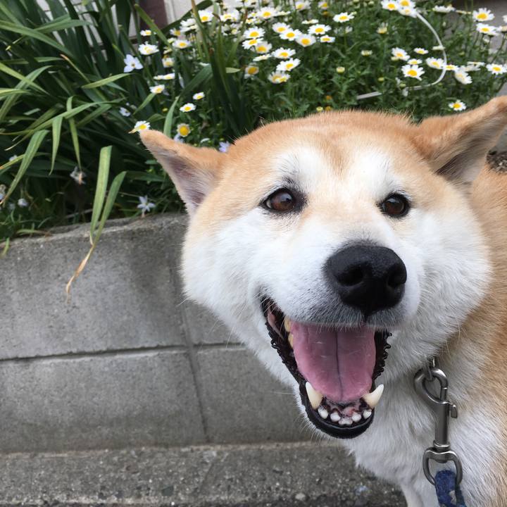 2c213e60 2598 4846 8cbd af2e48a57a65