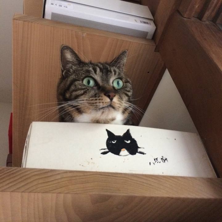 2c21a8d8 5d1c 477c a270 8f424b22a4fd