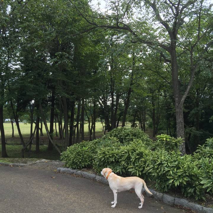 2c21ced9 0018 4ace 81bd 440ad638d1e2