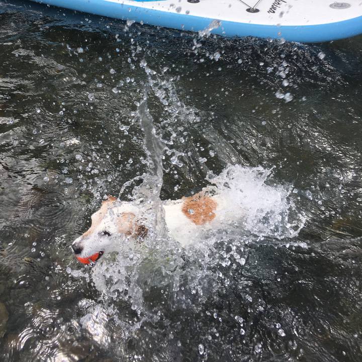 2c220ef4 99e3 464c 9d9c 070f83c7a963