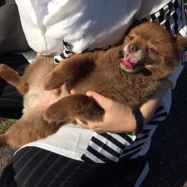 2c221e0c 1533 4e2e 901a cfb63296f2b4