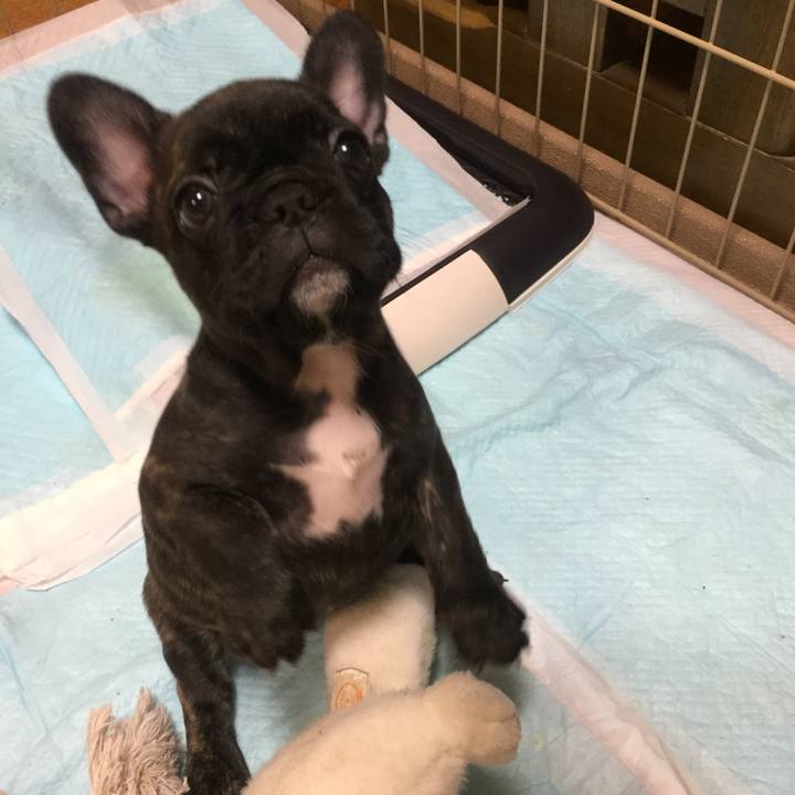 2c2371f6 b405 4f84 af18 513d2a7a1651