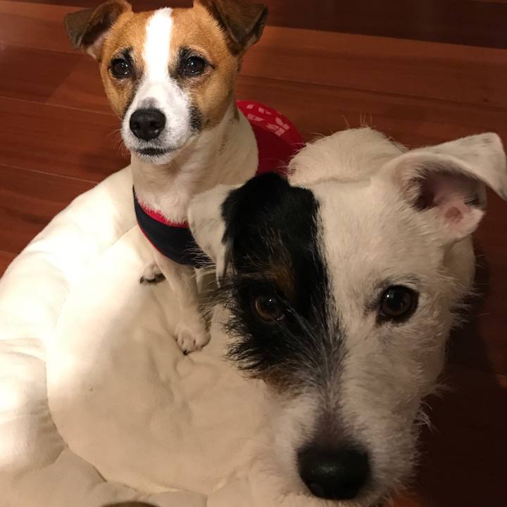 2c2395b2 a08b 485a 8f50 4e696a0eec50