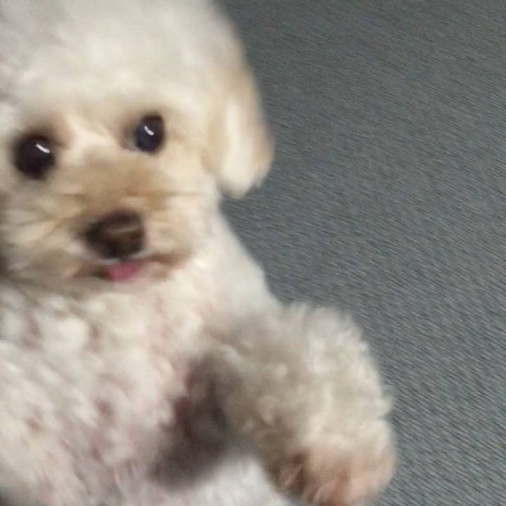 2c23a6bb 5e57 4410 9b9b bcd2e2e78152