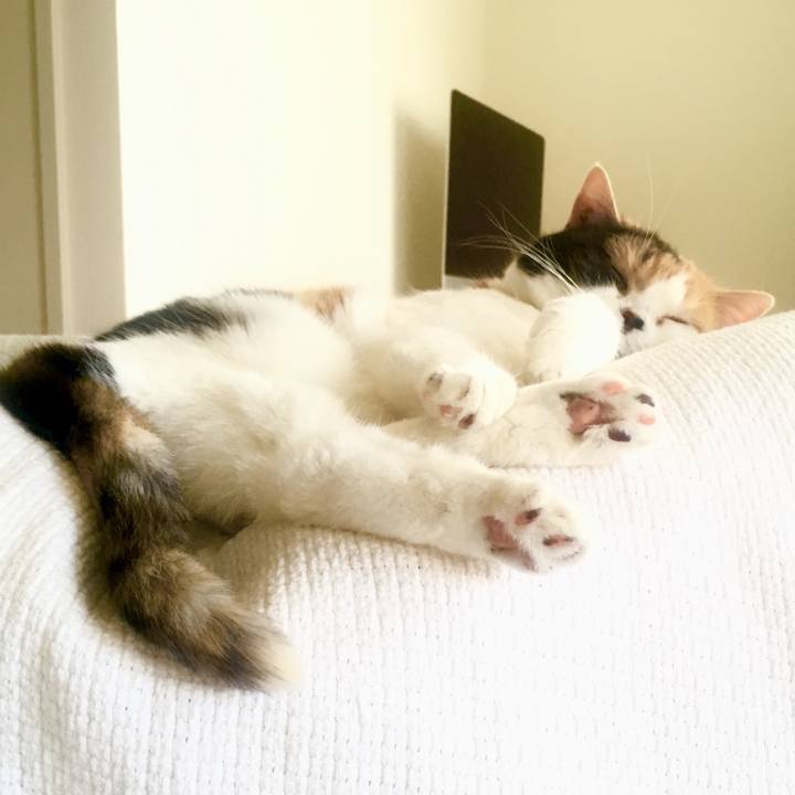 2c23b924 2e23 4227 8d1f 45622de8c08a