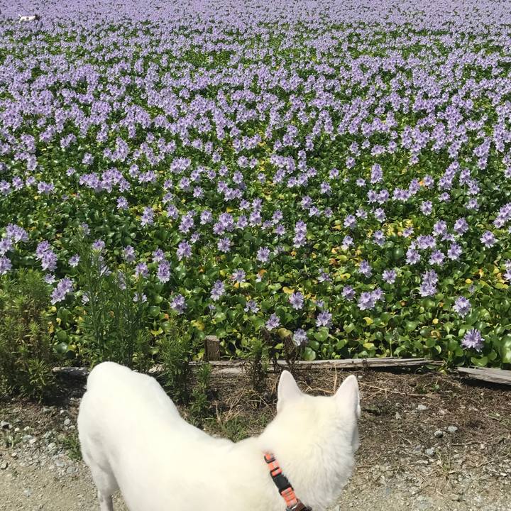 2c240197 d674 4b5c 9a36 2b5ca3ff7305