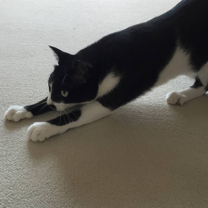 2c24e6ef f942 4ef2 947a f56ddec3eeba