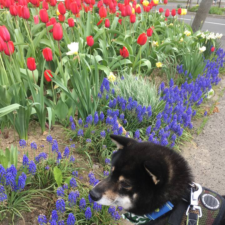 2c254f32 16e4 4968 a934 d76e14f5a8cd