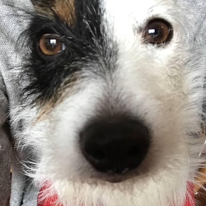 2c2641ab c62f 4c60 91ce ed6c22f8b923