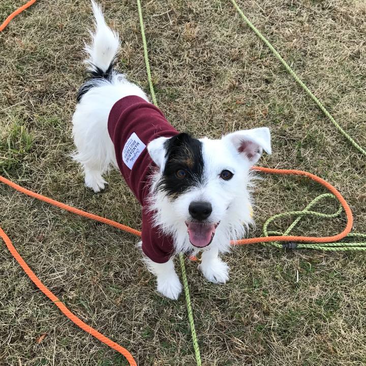 2c26ab55 4f0c 414c b1f1 e6544df2ea54