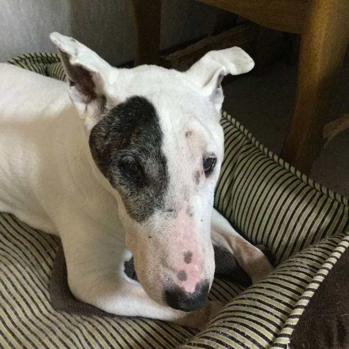 2c26dae5 87fb 41d0 ad19 c0960d0859f3