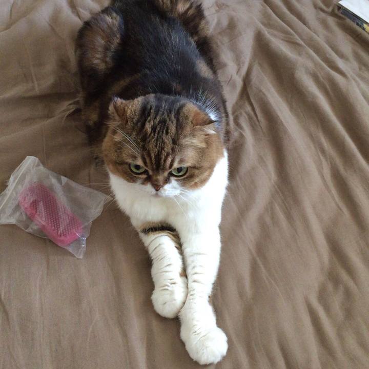 2c26dc86 b37b 4be8 91e2 ceaca37b371a