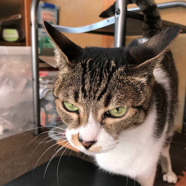 2c271594 9c5c 4e0f a30b 7c367a1496ee