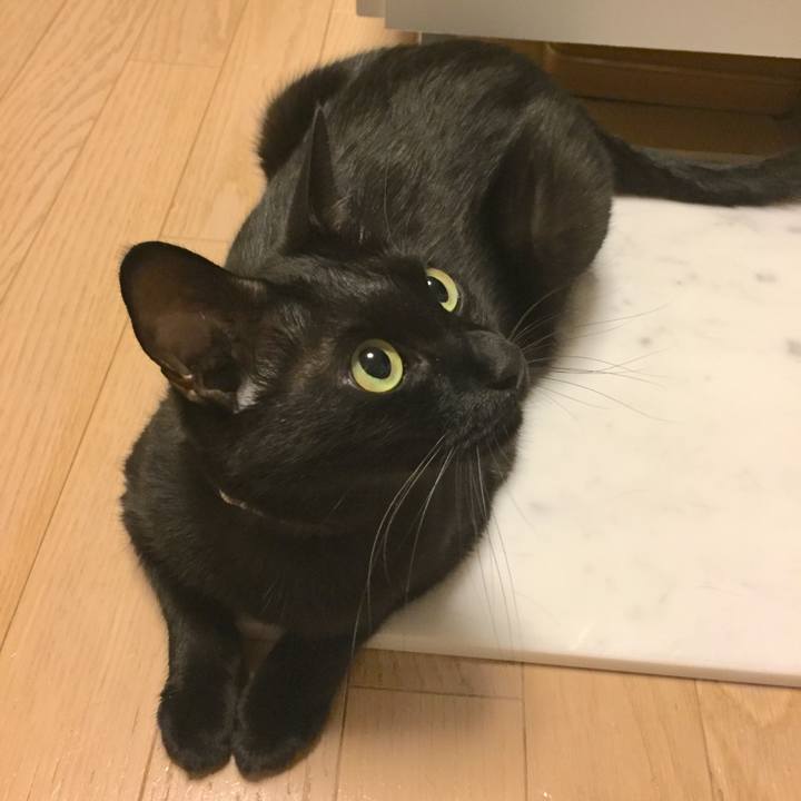 2c273e17 2882 41d8 8bd7 48b85e20802f