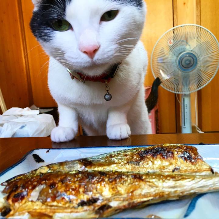 2c274f74 0ebe 4bb9 becb c57231f913f6