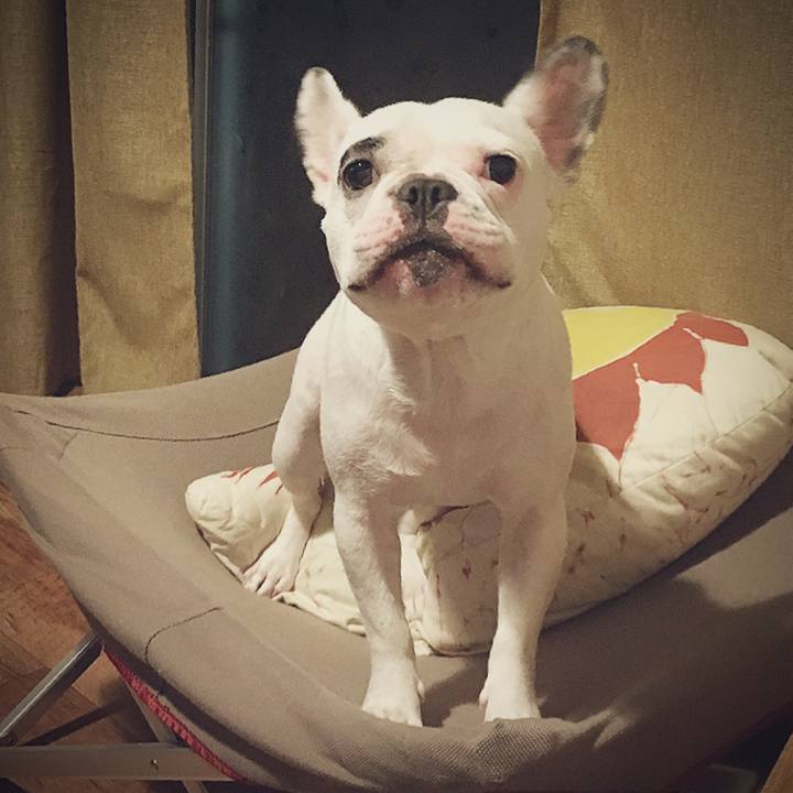 2c2774ac d2a4 49b6 8f96 c2c96fab7f76