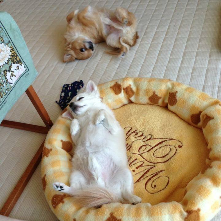 2c28424c fdf3 4c3d 8349 88b5cc647711