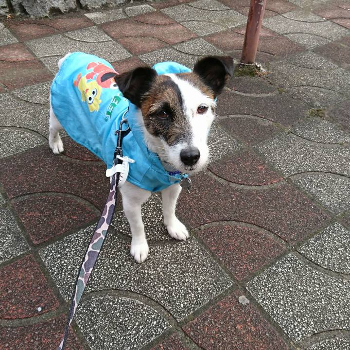 2c284cf6 81e9 4874 9899 28bdb8a5910a