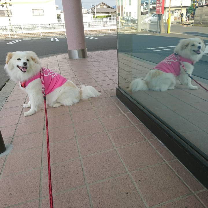 2c2873ac 0403 49d1 a73e cf692cbba951