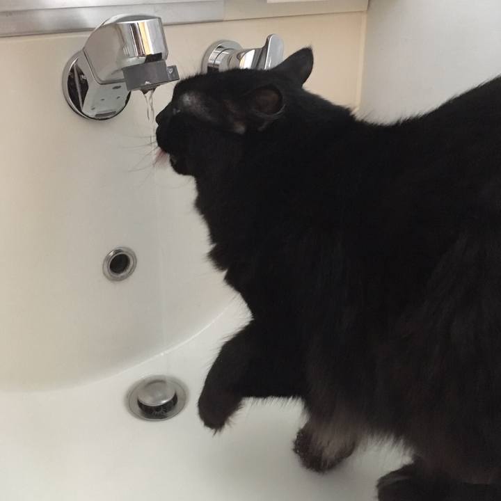 2c2940aa 1dc6 4870 b713 5985ff3b8b1c