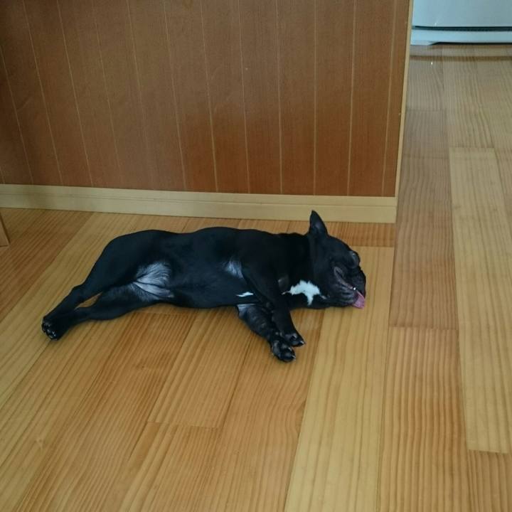 2c299044 b9a4 425b b49d b5f72326f6c1