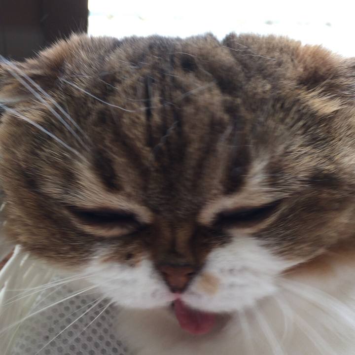 2c299992 9be3 4d13 8d57 ecc5b4083f2f