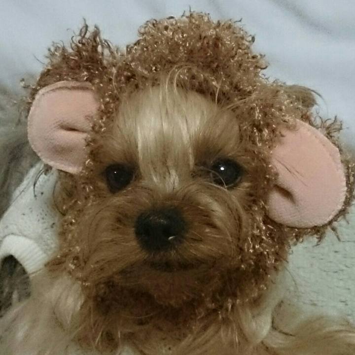 2c2a2661 0e31 4f09 b858 f119fa5d8efb