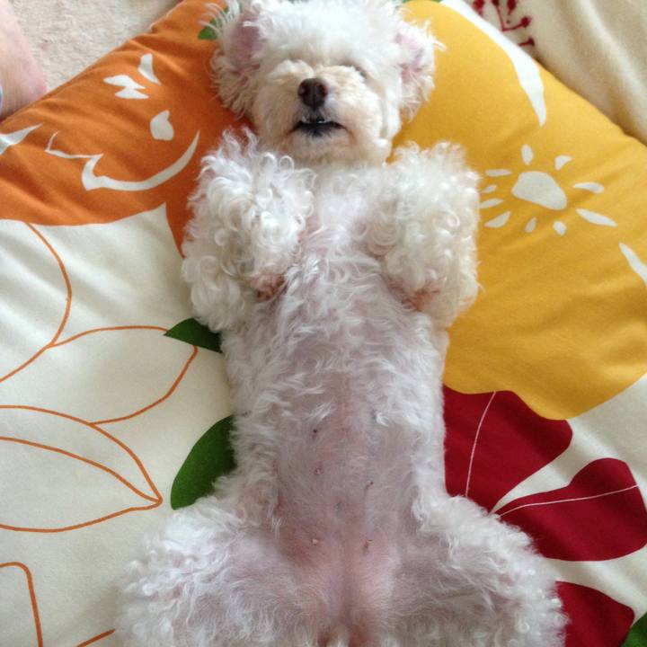 2c2a5099 8625 49d7 b31a b32b8dd356aa