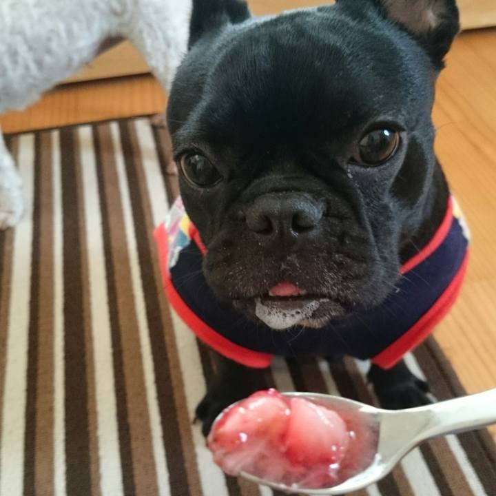 2c2a55ac 00a4 4c1a 9516 6758a4c5dda1