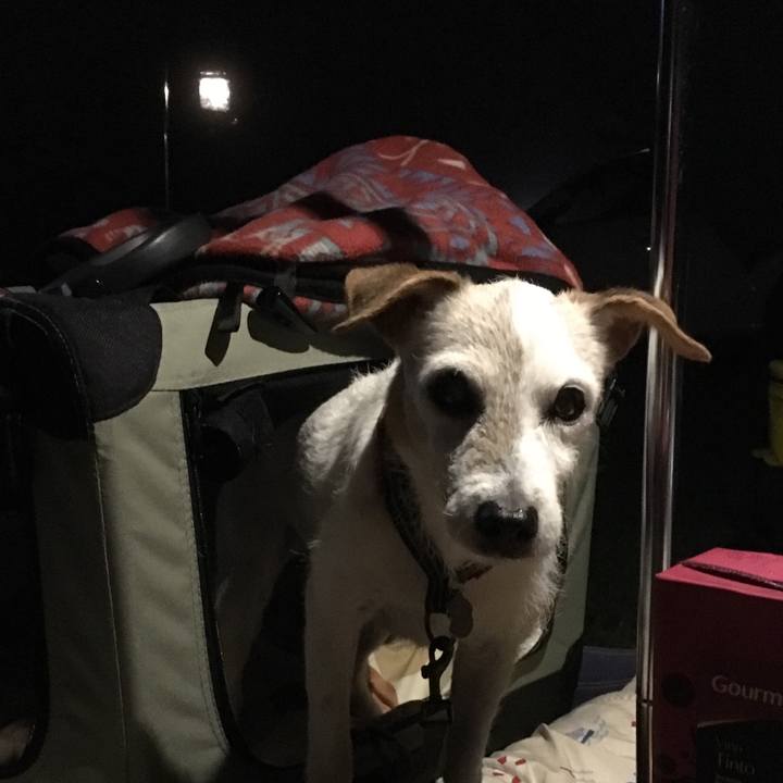 2c2aa2a6 1fc5 414f bd8d 68ef9f471819