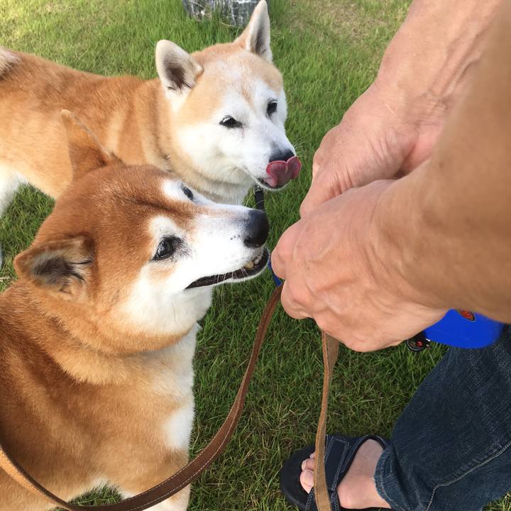 2c2ae2cf 464e 42bd b788 615823937007