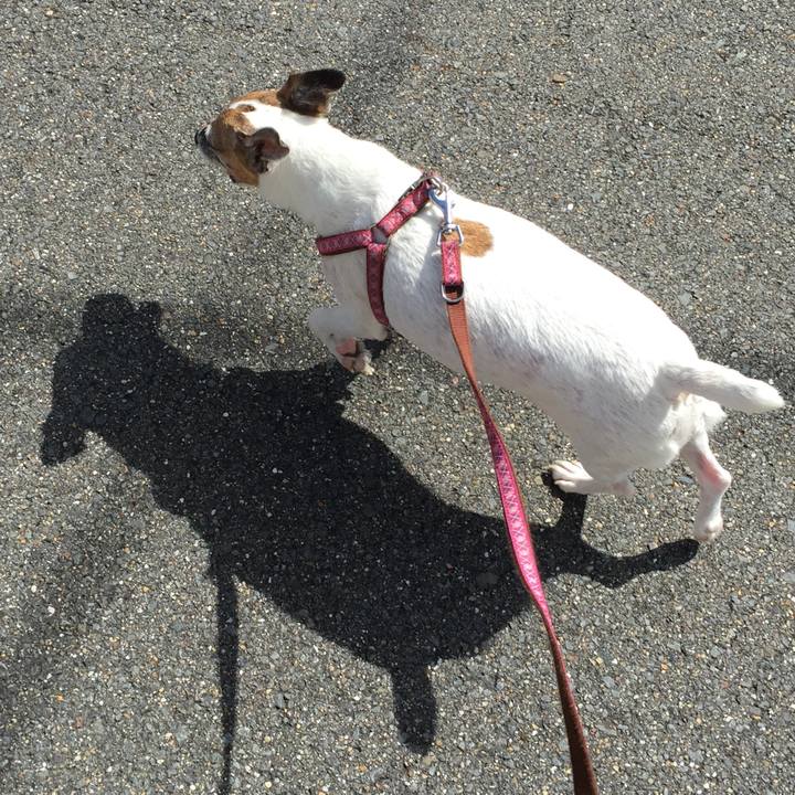 2c2b19cb b123 4d3a ad63 6cdb827e6d85