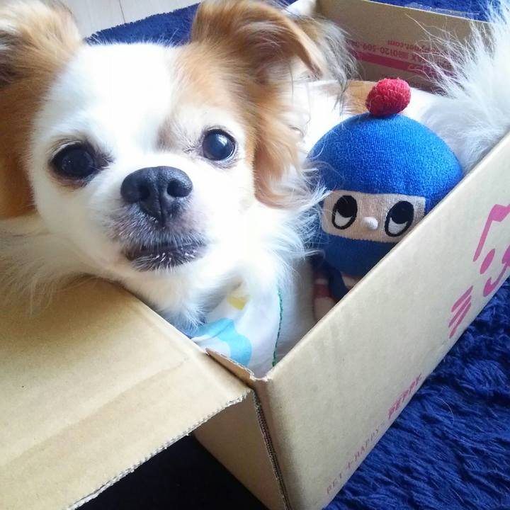 2c2c1de9 3df9 45c5 bec8 f6217ff8783a