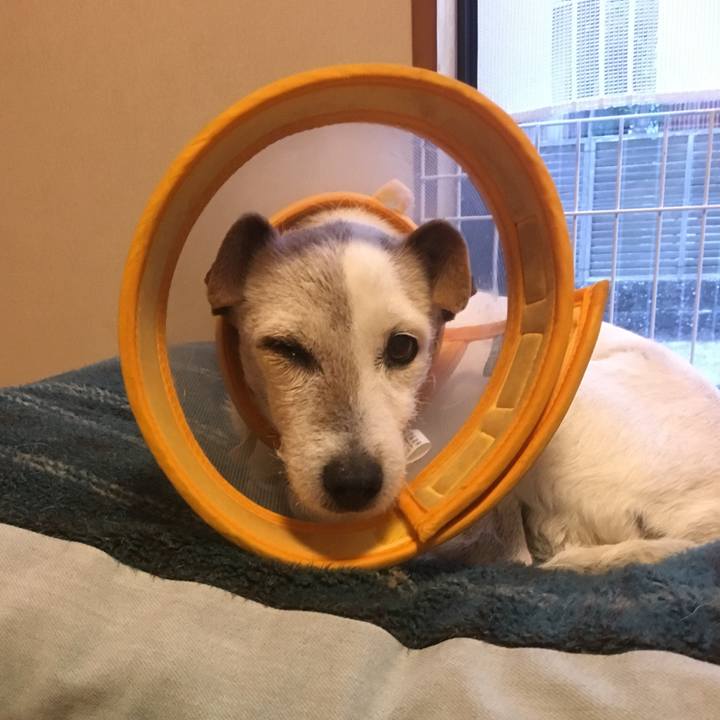 2c2cebbd e651 4631 b349 b15fa7c13e50