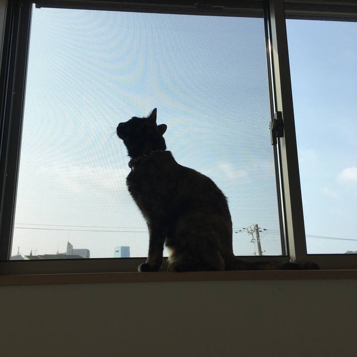 2c2d867b 6b42 4200 aca9 f98dec7d2ebf