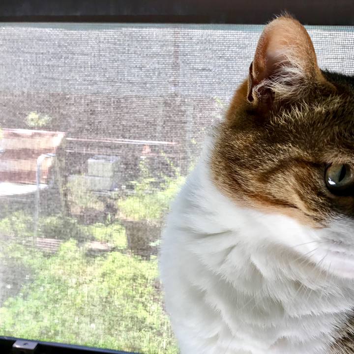 2c2e45bd 22c9 4edc acc7 23b531925fbf