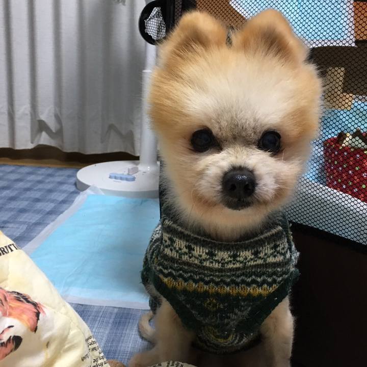 2c2eb3b9 96a8 45e2 90d6 323c6e99b920