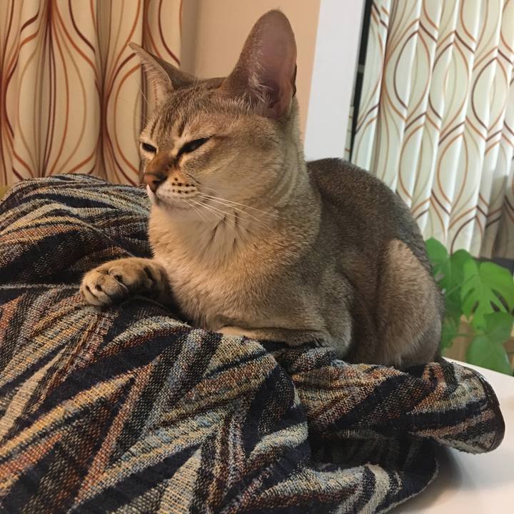 2c2ef72e 3c5d 4ef2 aaf4 5c43e5652645