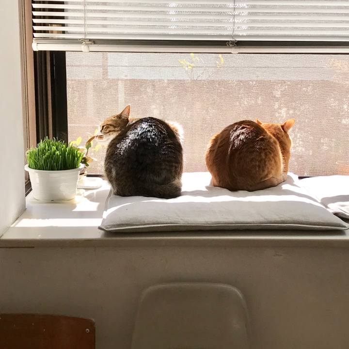 2c2f5097 5d0d 424b a5ca 59442e622379