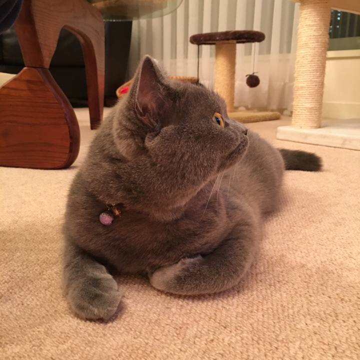 2c2fa7e3 f67b 4038 837f b316ce6c86fc