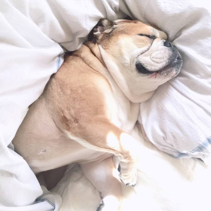 2c2fadd1 7271 41b2 9565 331c57dbd98d