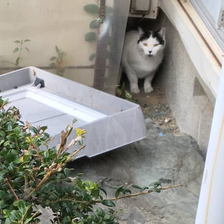 2c2fcd3f 5f2e 4d0b a040 6fdc0b07a859