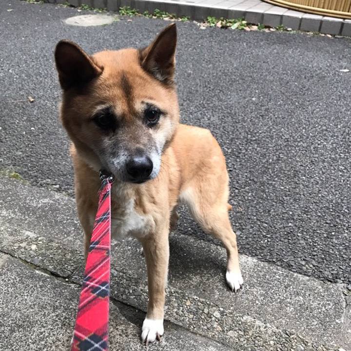 2c2fed48 b345 40b1 8742 5ffb9fa27469