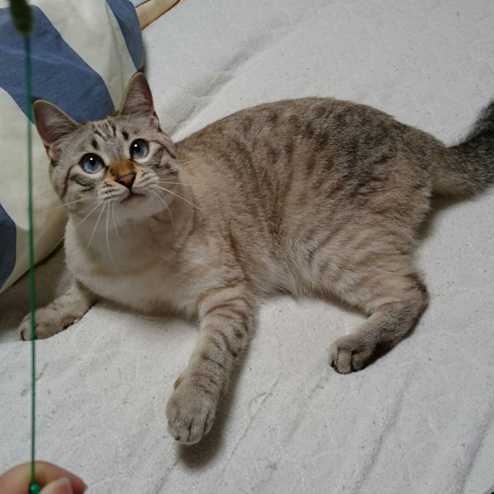 2c305d7c 44a9 47cc 8192 50374c4605aa