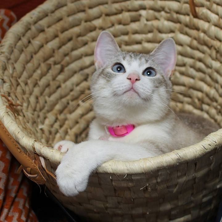 2c3076c3 73d5 4e33 ba01 833a77382686