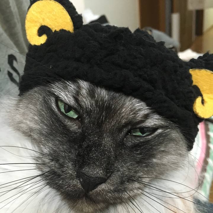 2c315a25 406d 4b07 bc59 ead2743cbdb1