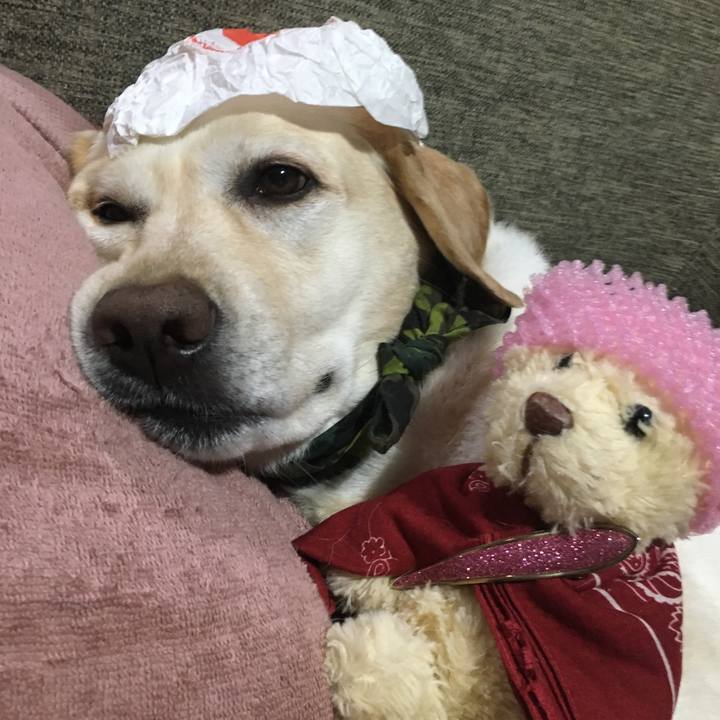 2c325adc ad05 4fcb be72 524d9750f81e