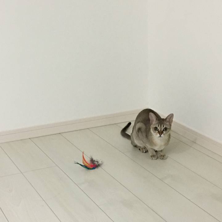 2c3300d5 ceff 48b3 a0d5 73541a12fd98