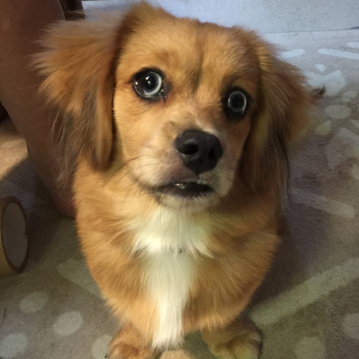 2c33a638 a82d 4a3b 8200 10528c7614ce