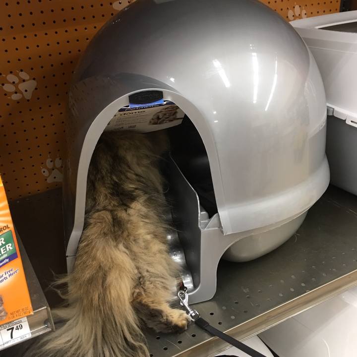 2c33e678 7b7f 44ed bbd9 f42ee1a618fd